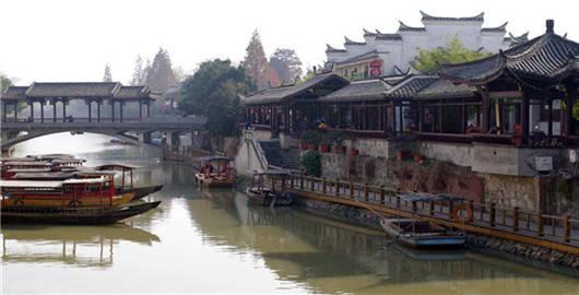救援鹦鹉